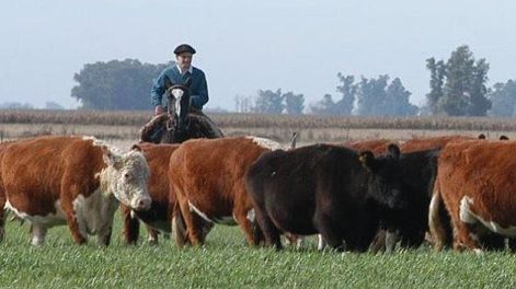 Estadísticas de embarques de carne vacuna e intercambios