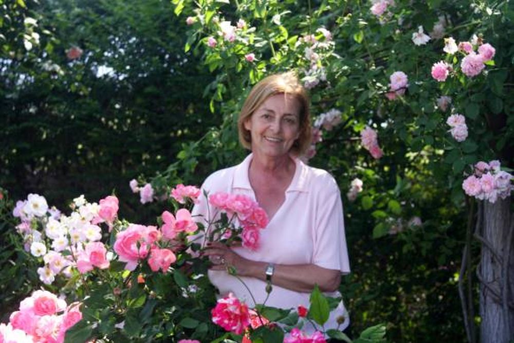Una vida entre pétalos de rosas
