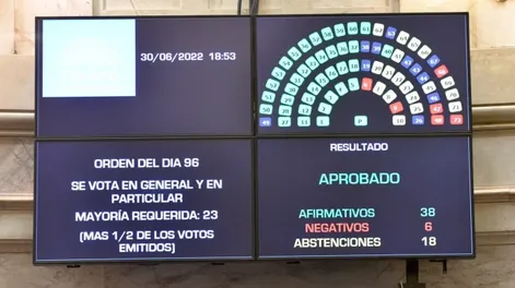 El Senado dio media sanción al proyecto de moratoria previsional