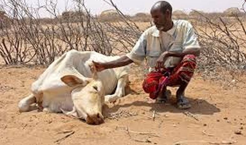 El Día Cero de Ciudad del Cabo: sequía y responsabilidad social