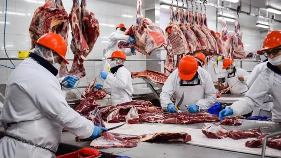 Malestar agropecuario porque el Gobierno extendió las trabas a la exportación de carnes