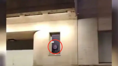 Revuelo por la transmisión de pornografía en una pantalla de una municipalidad: el video