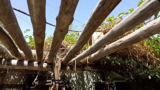 Tenía 67 años y murió al electrocutarse en su fondo mientras podaba una enredadera