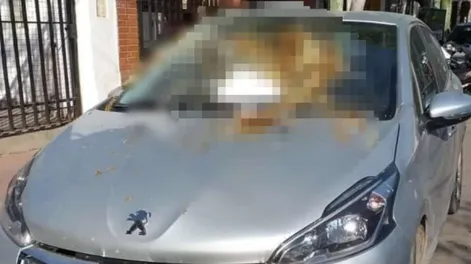 Estacionaron en la puerta de su garaje y dejó en el auto una carta con un “regalito” muy polémico