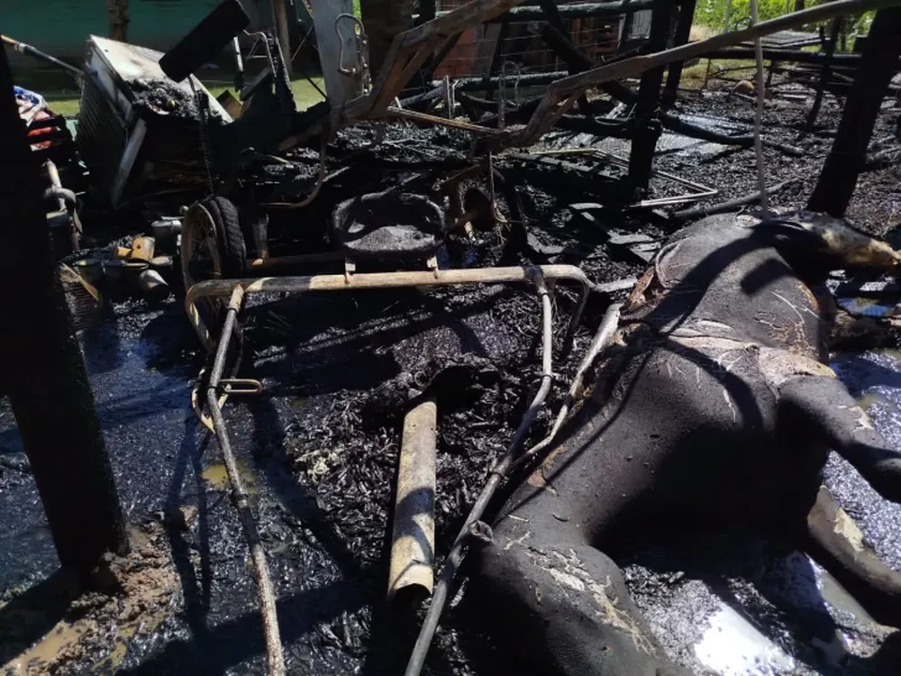 Incendio en un corral de Pocito.-