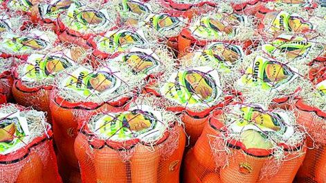 Asociativismo de productores de zapallo en Médano de Oro