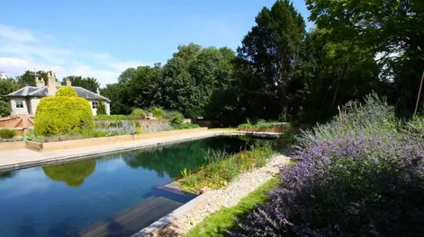 Diario de Cuyo | apertura_1 728x485.webp