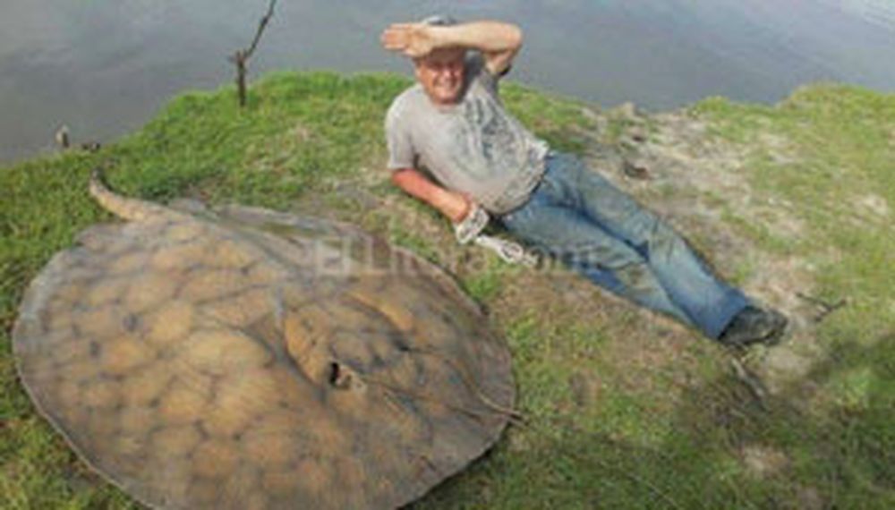 Pesca récord