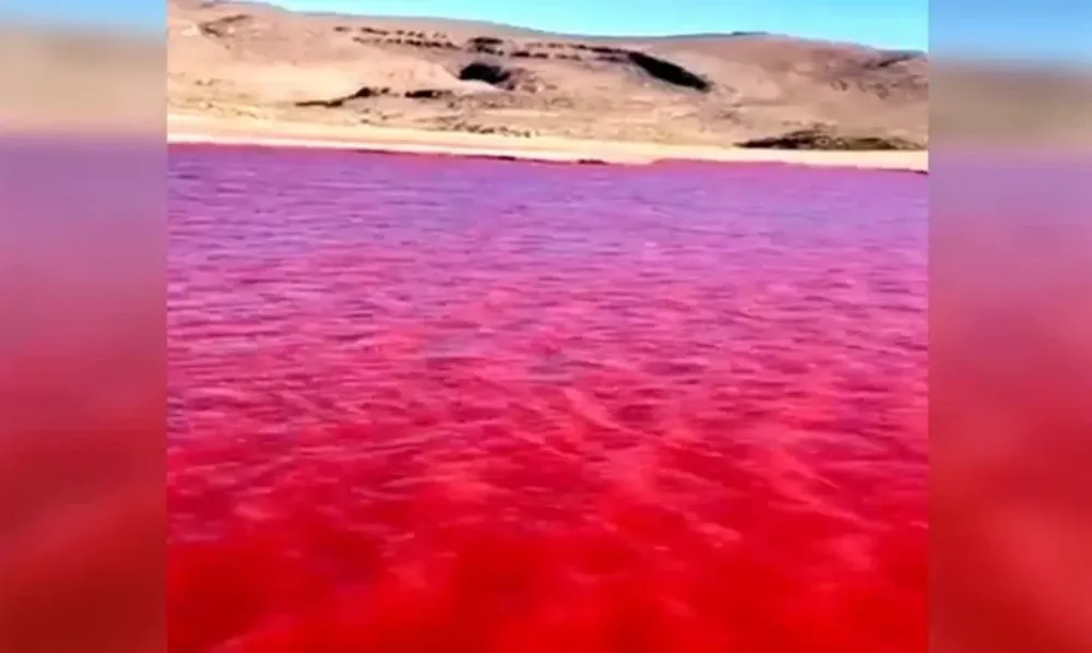 El río Nilo se tiñó completamente de rojo y desconcertó a todos