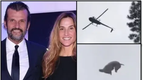 La historia detrás del cerdo que tiraron a una pileta