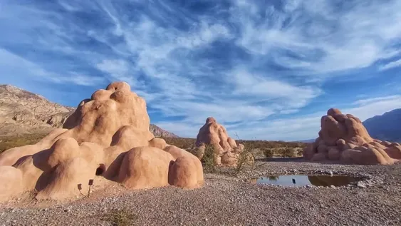 Arte Bestial: un espacio impactante