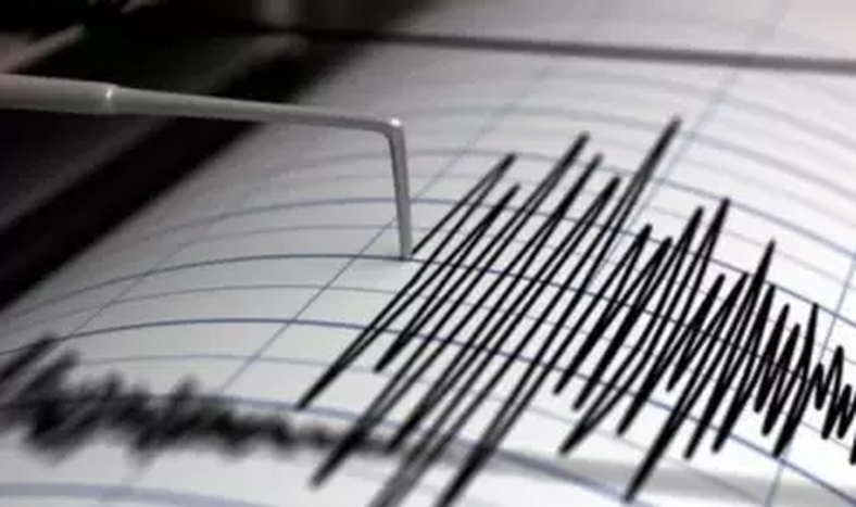 Fuerte sismo con epicentro en San Juan alteró la madrugada del sábado
