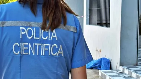 Perro acuchillado en Chimbas: condenaron a un año de prisión condicional al hombre que lo mató