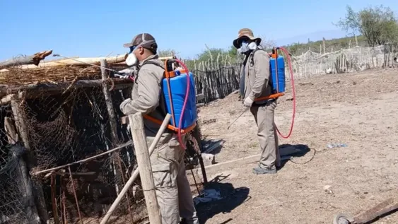 En Sarmiento fumigaron hasta los corrales de animales en el marco de un operativo sanitario contra la vinchuca.