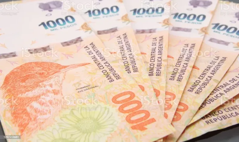 Cómo acceder al bono extra de $10.000 que paga ANSES