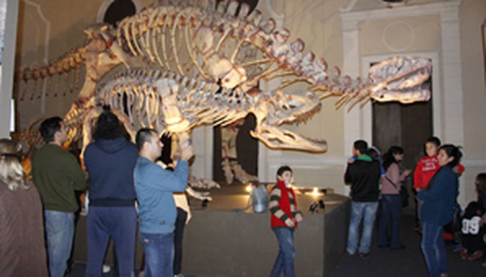 Furor por los dinos