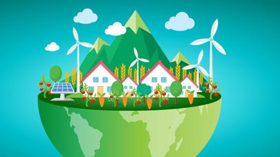 Una mirada ecológica para emprender