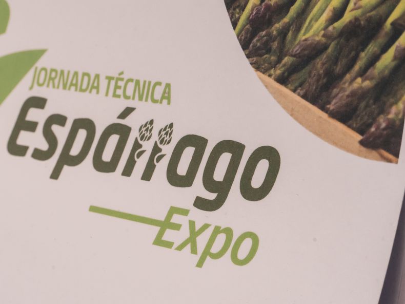 Con el espárrago como protagonista de su propia identidad visual, la Jornada Técnica llega este viernes a su tercera edición en el Médano de Oro.