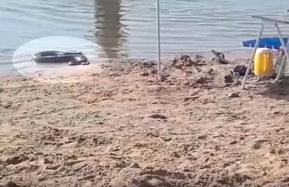 [VIDEO] Una “anaconda amarilla” apareció en una playa y causó pánico entre los turistas