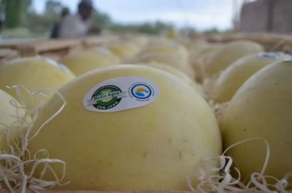 La más importante muestra a campo del año será en Sarmiento