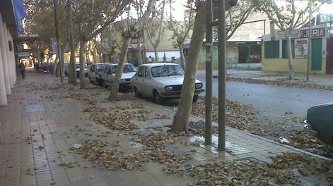 Un incendio destruyó un galpón en una finca de Rawson
