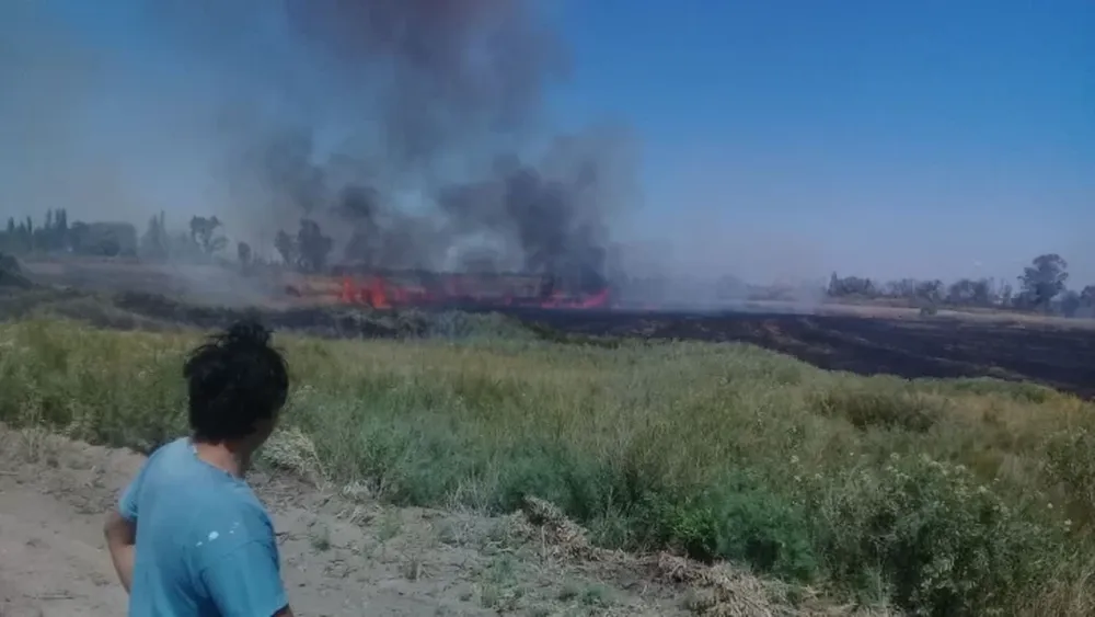Sofocaron un incendio de pasturas que puso en peligro a una casa