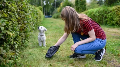 Multaron a una mujer que no levantó la caca de su perro tras averiguar su ADN