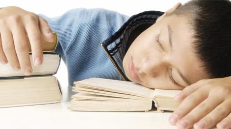 El horario escolar en la mira