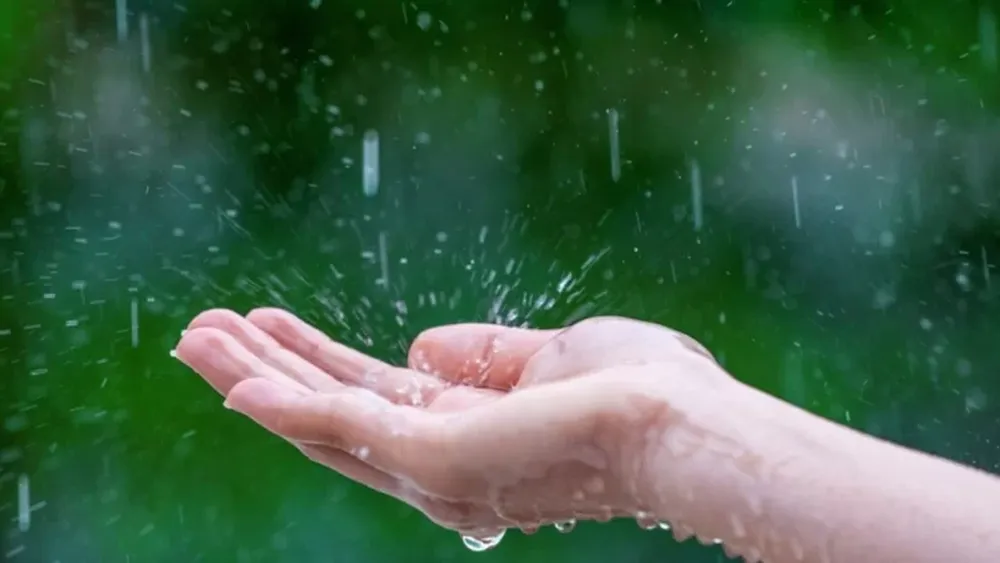 El “olor a lluvia” ¿Mito o realidad?