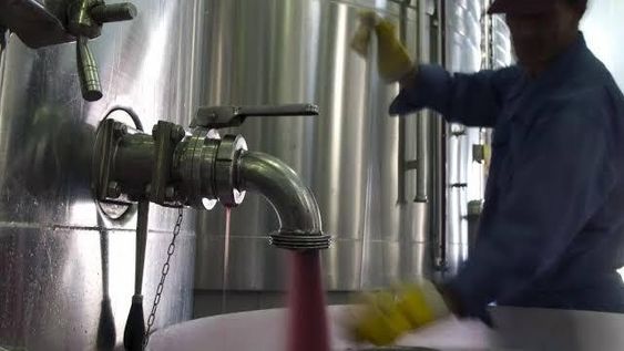 Sobrestock y especulación, un cóctel que tira hacia abajo el precio de la uva y vino