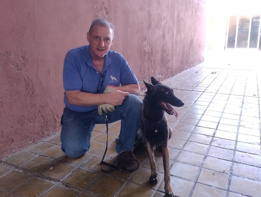 Roberto Bastianelli es un conocido conductista canino de San Juan y opinó sobre las llamadas razas peligrosas.&nbsp;