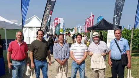 Robótica y calidad anclada al origen para los vinos italianos