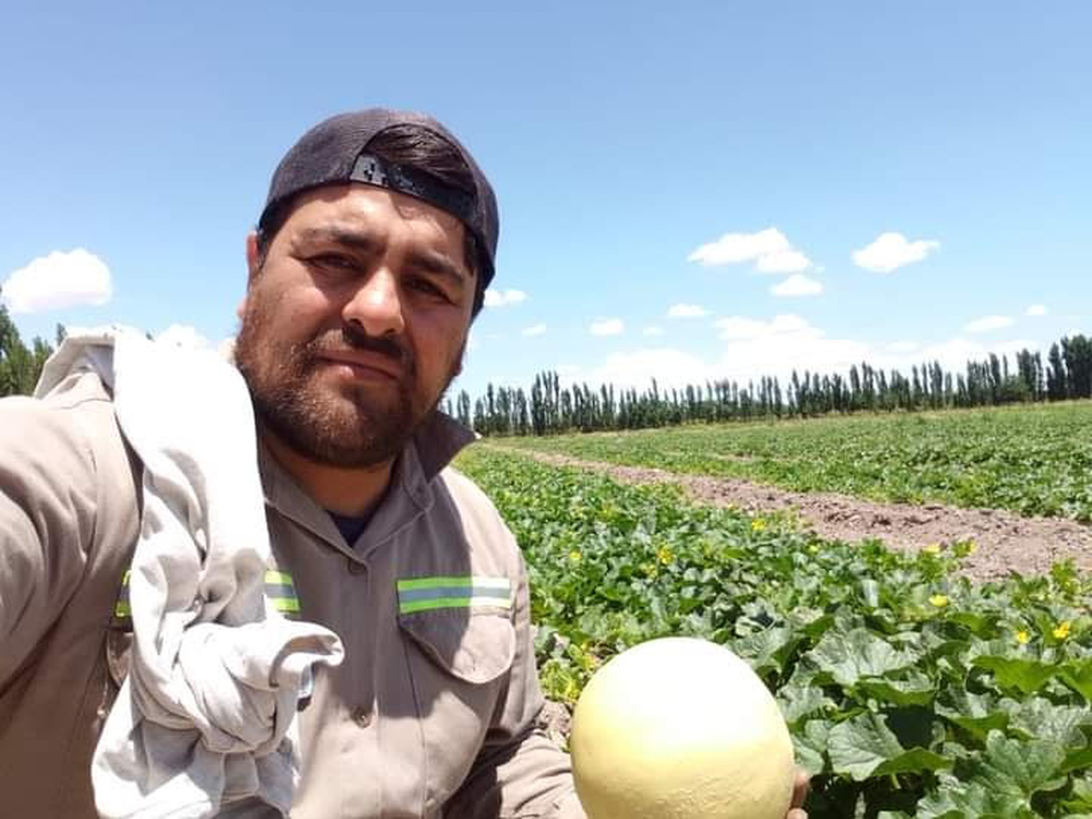 Importante iniciativa multigrupal para fomentar cultivo del melón