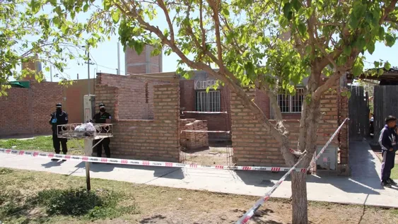 Ataque mortal de un pitbull: desgarrador relato de una hermanita de la víctima