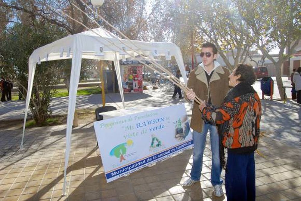 Por Plan de Forestación, sigue la entrega de ejemplares