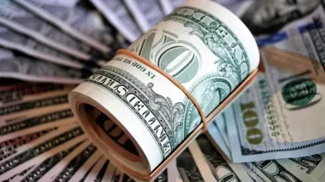 Desde mañana todos los precios de bienes y servicios podrán mostrarse en dólares