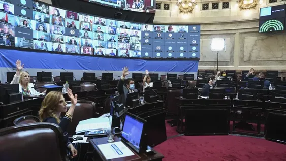 El Senado dio media sanción al proyecto de movilidad jubilatoria
