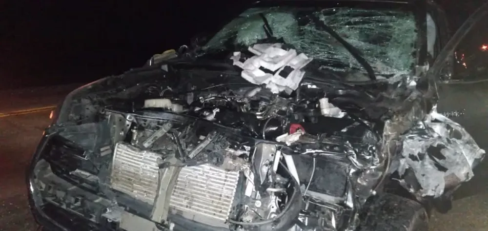Impactante: una camioneta terminó destruida después de chocar a un caballo y volcar