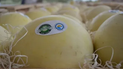 La más importante muestra a campo del año será en Sarmiento