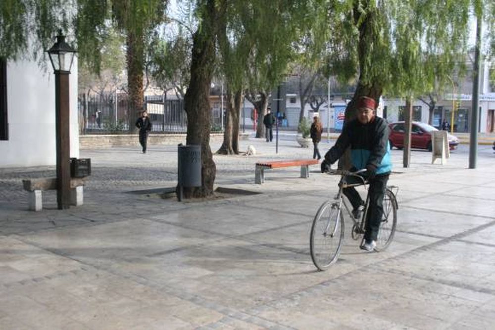 ¿Peatonal o vehicular?