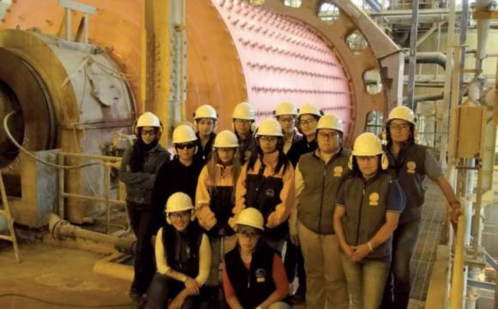 Molino rosa en el Día de la Mujer