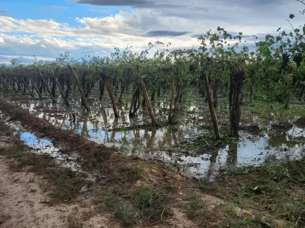 Daños por las tormentas en la producción