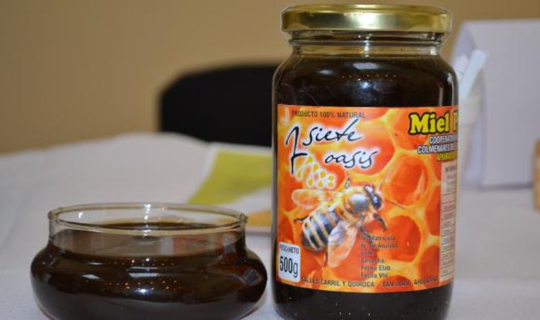 Cuarto Concurso de Mieles de la Región de Nuevo Cuyo