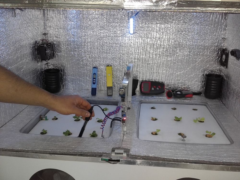 Recomendaciones relevantes para la prevención en el ser humano