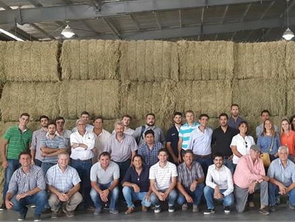 San Luis apuesta a la alfalfa con un proyecto a 10 años