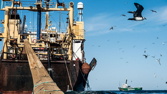La denuncia busca determinar si empresas pesqueras realizaron capturas y operaciones comerciales en el Atlántico Sur sin someterse a controles argentinos.