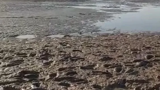 Por voto unánime de regantes, los cortes de agua serán sólo de 7 días