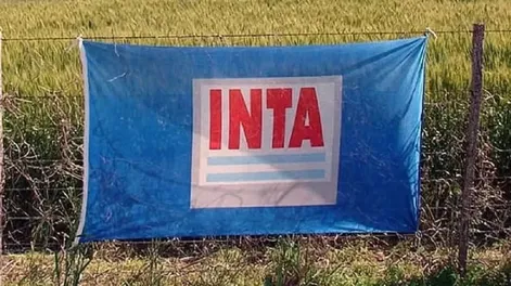 INTA