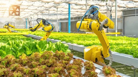 LAS EMPRESAS LATINOAMERICANAS deberían desarrollar aplicaciones de IA para aumentar la eficiencia de industrias claves como la agricultura y el turismo.