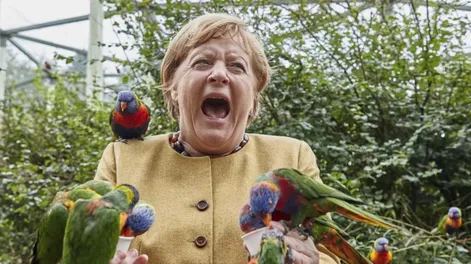 Angela Merkel visitó un parque de aves y quedó “cercada” por una bandada de loros